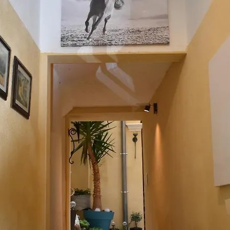Apartamento Studio Duplex- Climatise - Centre Nîmes