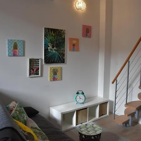 Apartamento Studio Duplex- Climatise - Centre *